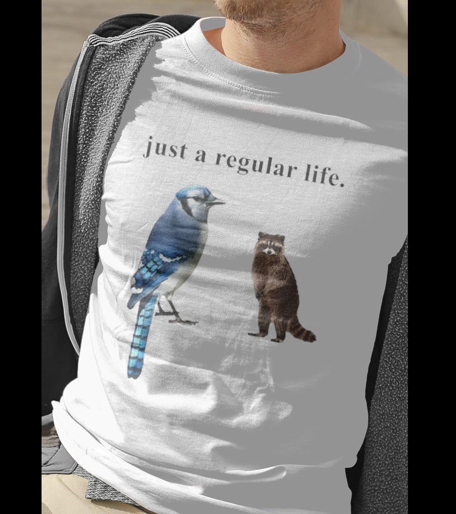 Just A Regular Life Raccoon And Bird Regular Show T-Shirt