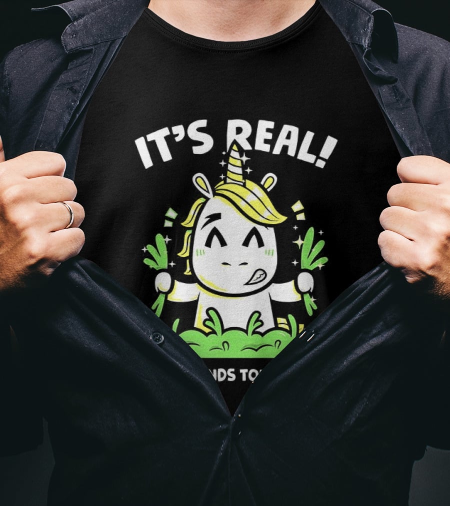 It's Real Even Legends Touch Grass Unicorn T-Shirt