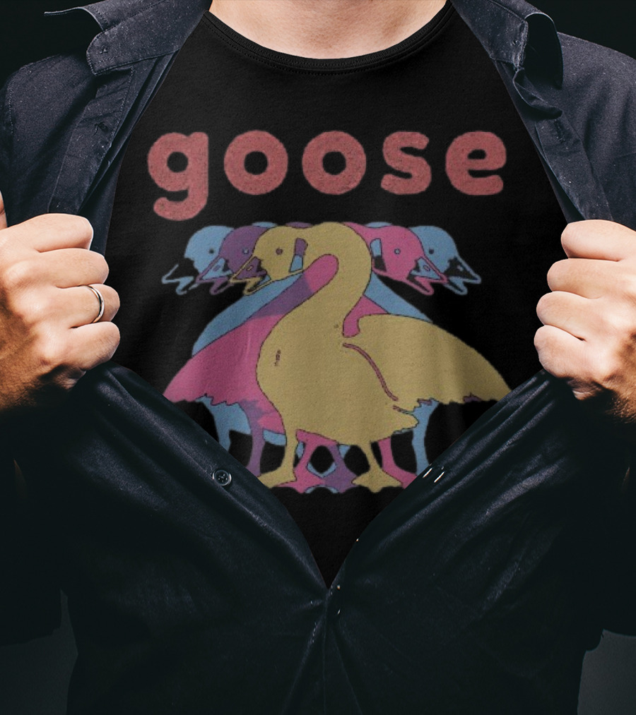 Goose Multicolor Stacked Ducks Wine Theme T-Shirt