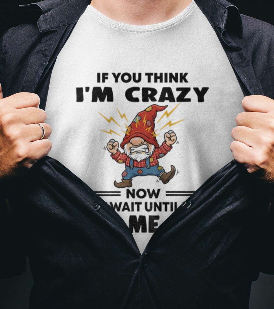 If You Think I'm Crazy Now Just Wait Until You Piss Me Off Grumpy Gnome Lightning Hat T-Shirt