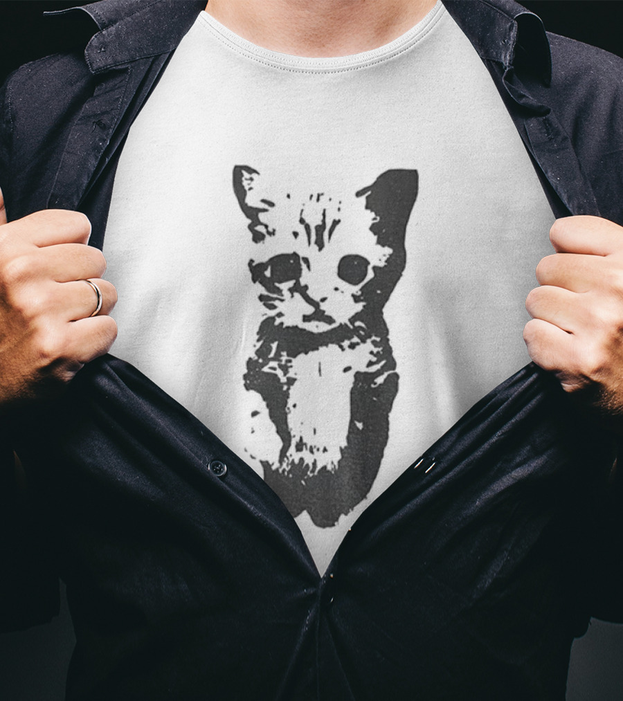 Cute Cat Funny Whimsical Feline Charm T-Shirt