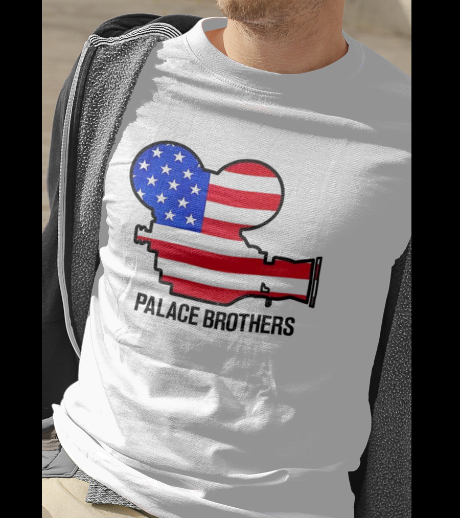 Palace Brothers American Flag Camera T-Shirt