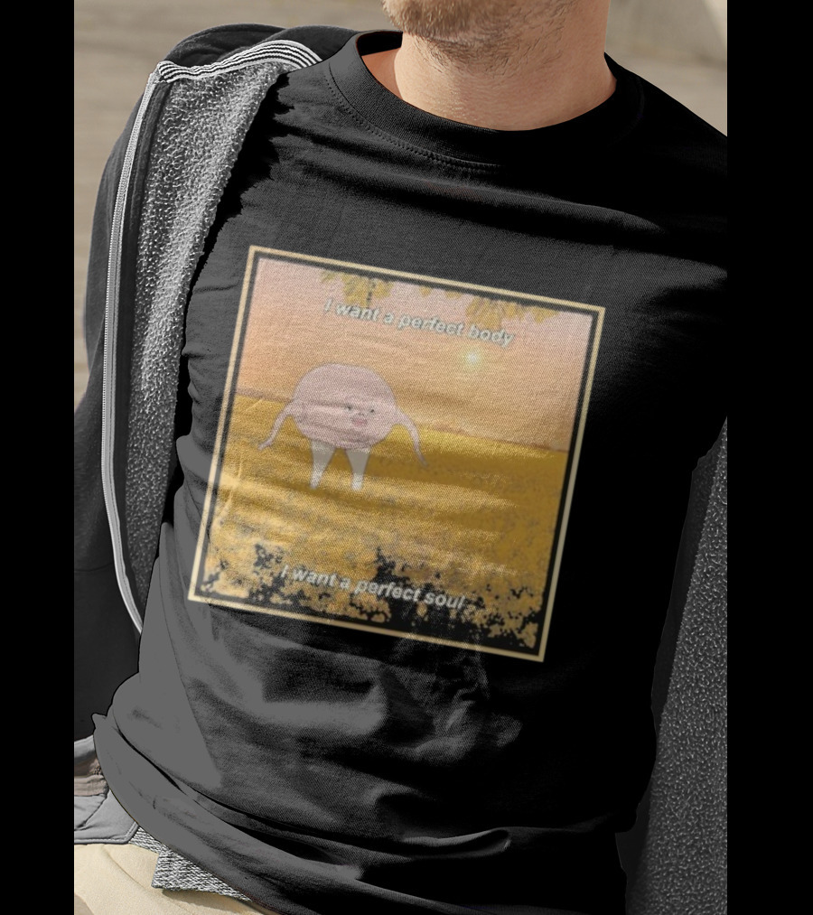 I Want A Perfect Body I Want A Perfect Soul Sunset Parody T-Shirt