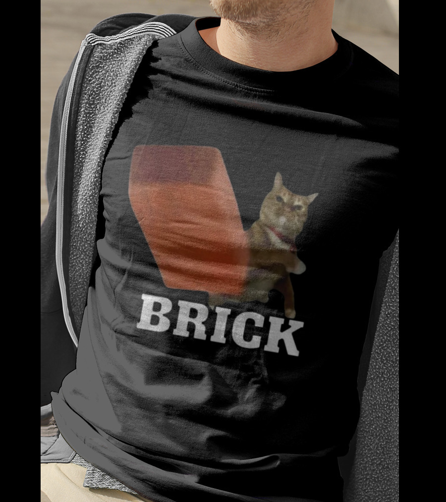 Funny Cat Brick Throw Meme T-Shirt