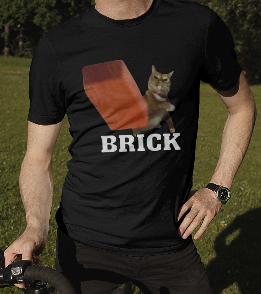 Funny Cat Brick Throw Meme T-Shirt