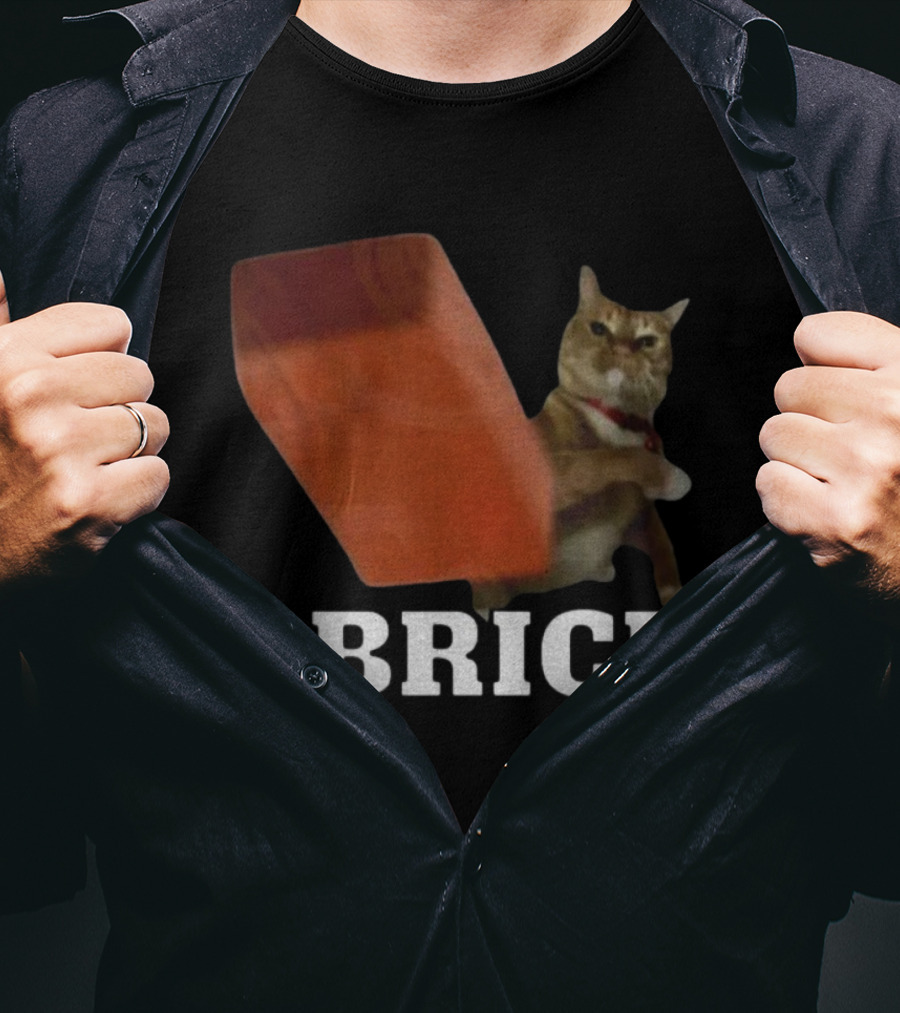 Funny Cat Brick Throw Meme T-Shirt