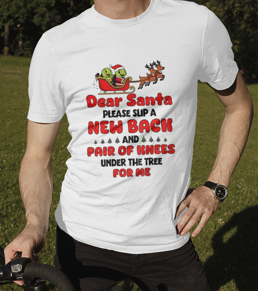 Dear Santa New Back Pair Of Knees Holiday Turtle Sleigh T-Shirt