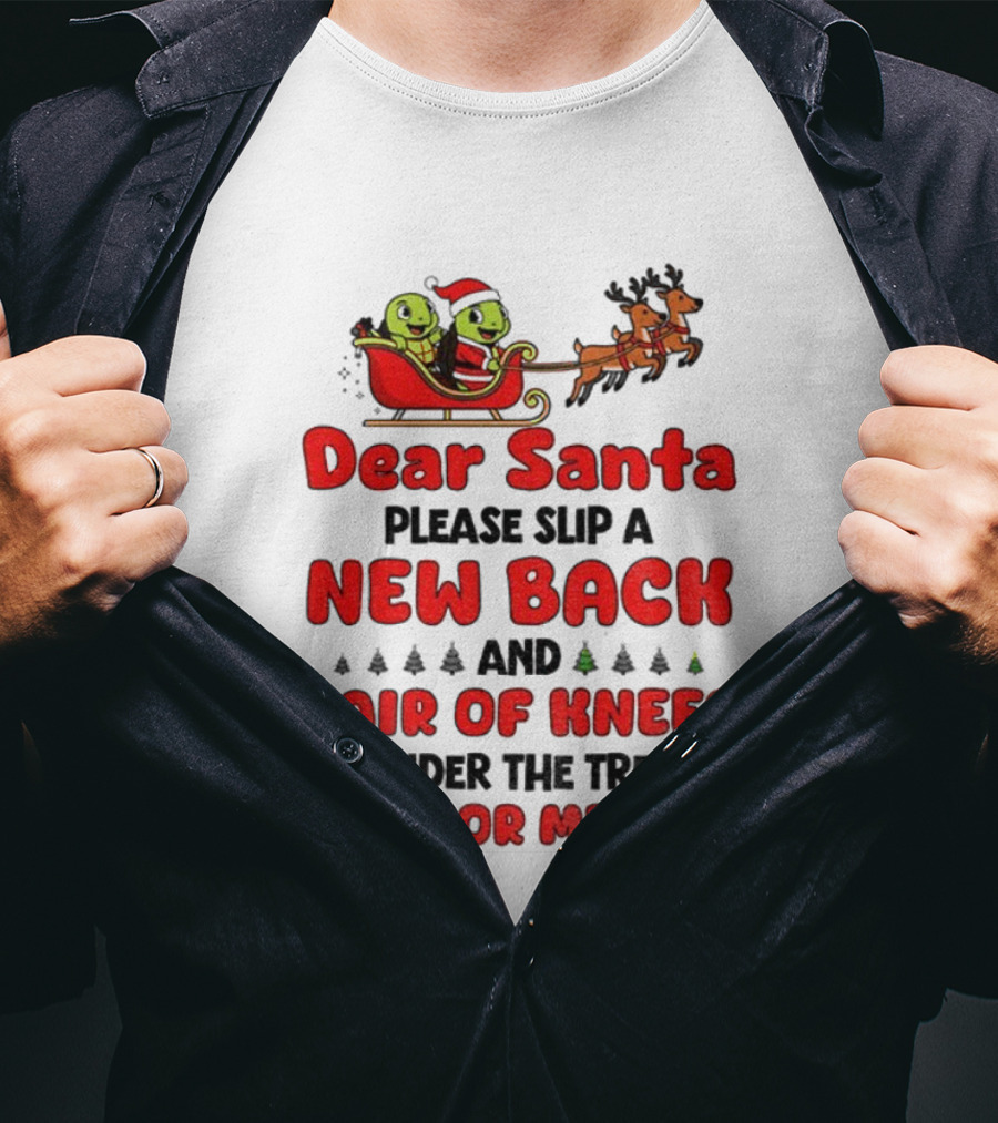 Dear Santa New Back Pair Of Knees Holiday Turtle Sleigh T-Shirt