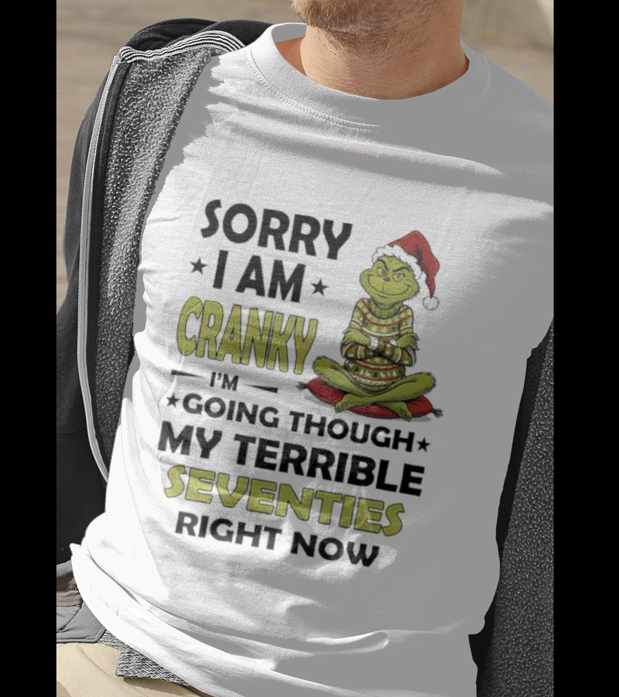 Sorry I Am Cranky Grinch Santa Hat Going Through My Terrible Seventies T-Shirt