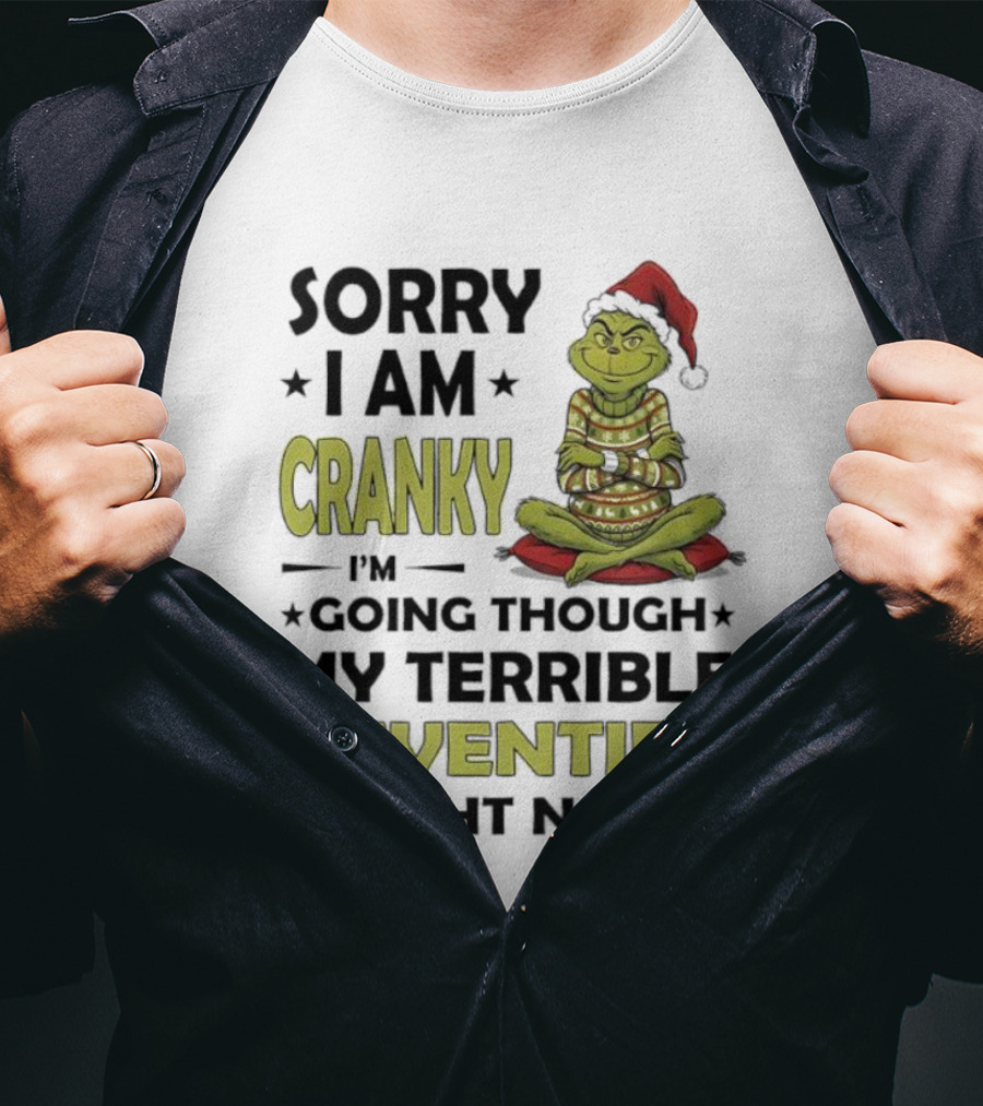 Sorry I Am Cranky Grinch Santa Hat Going Through My Terrible Seventies T-Shirt