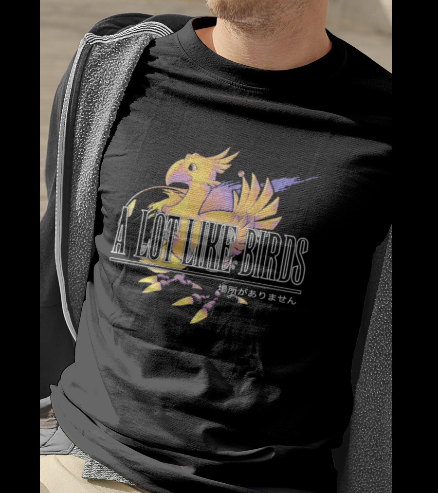 A Lot Like Birds Chocobo Characters T-Shirt