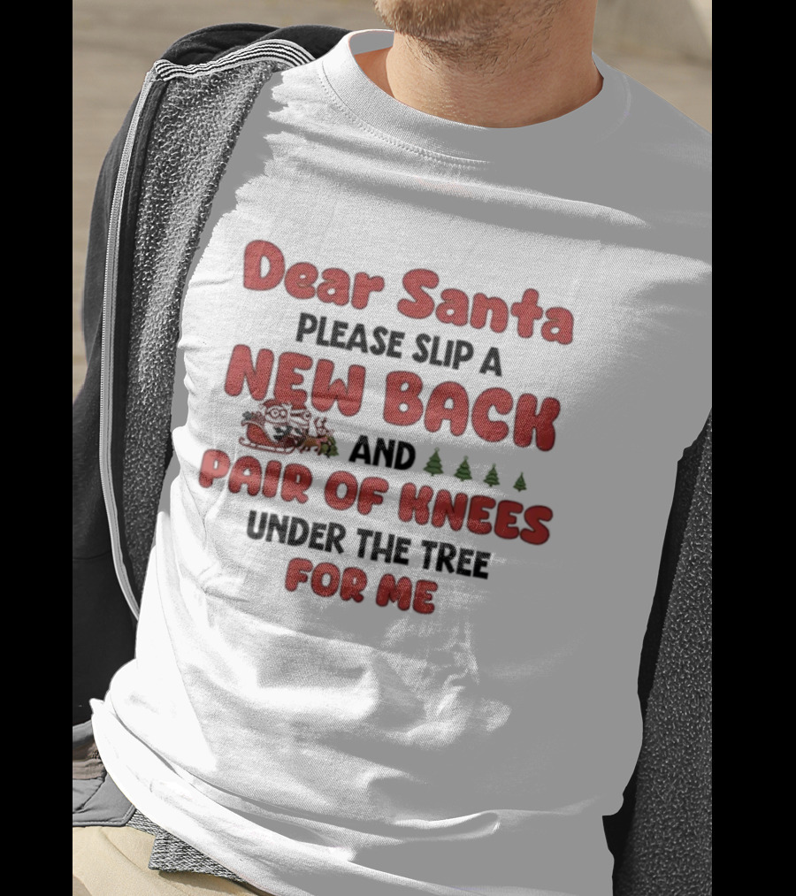 Dear Santa Please Slip A New Back And Pair Of Knees Under The Tree For Me T-Shirt
