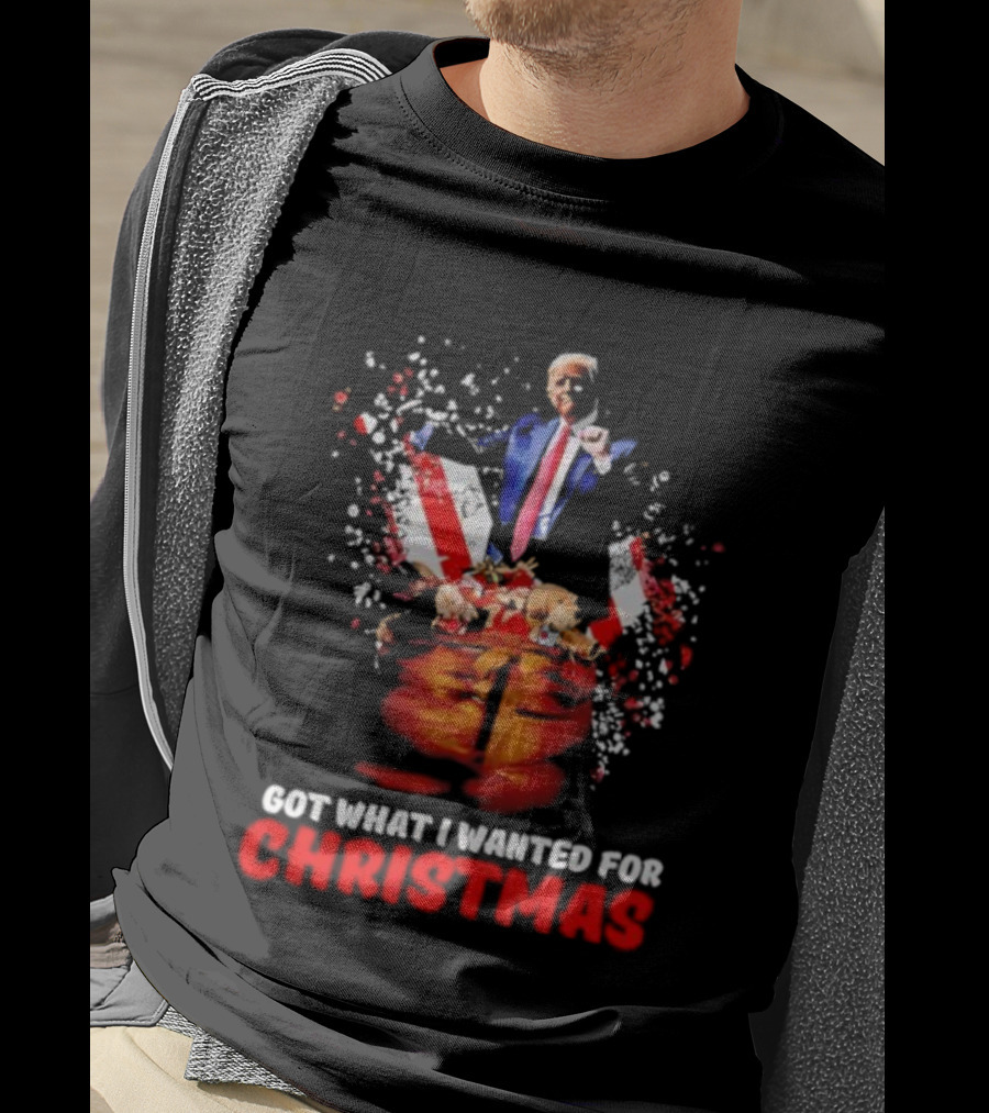 Trump Got What I Wanted For Christmas Santa Bag Fireworks T-Shirt