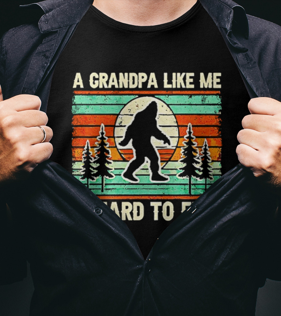 A Grandpa Like Me Is Hard To Find Bigfoot Vintage T-Shirt