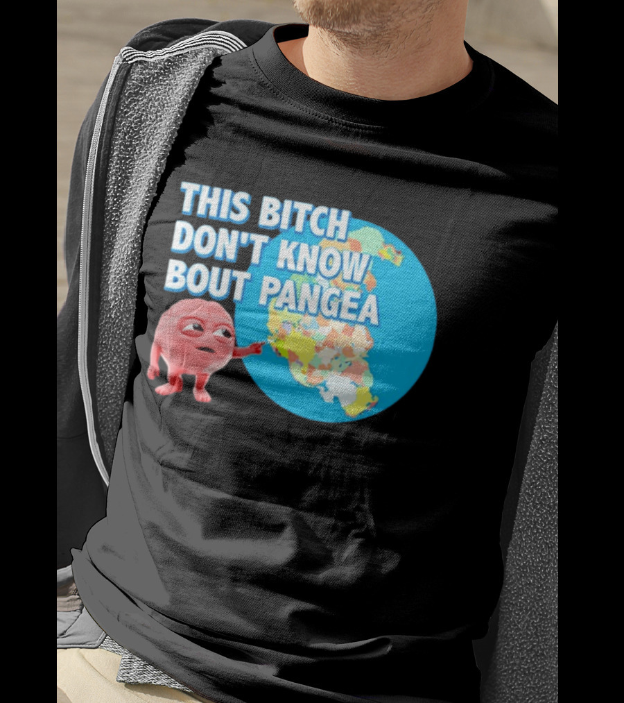 This Bitch Don't Know Bout Pangea Brain Meme Map T-Shirt