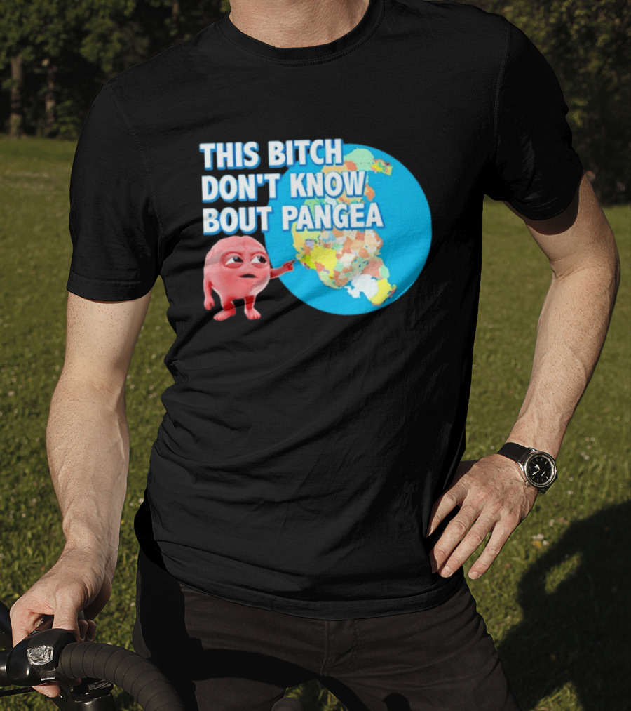 This Bitch Don't Know Bout Pangea Brain Meme Map T-Shirt