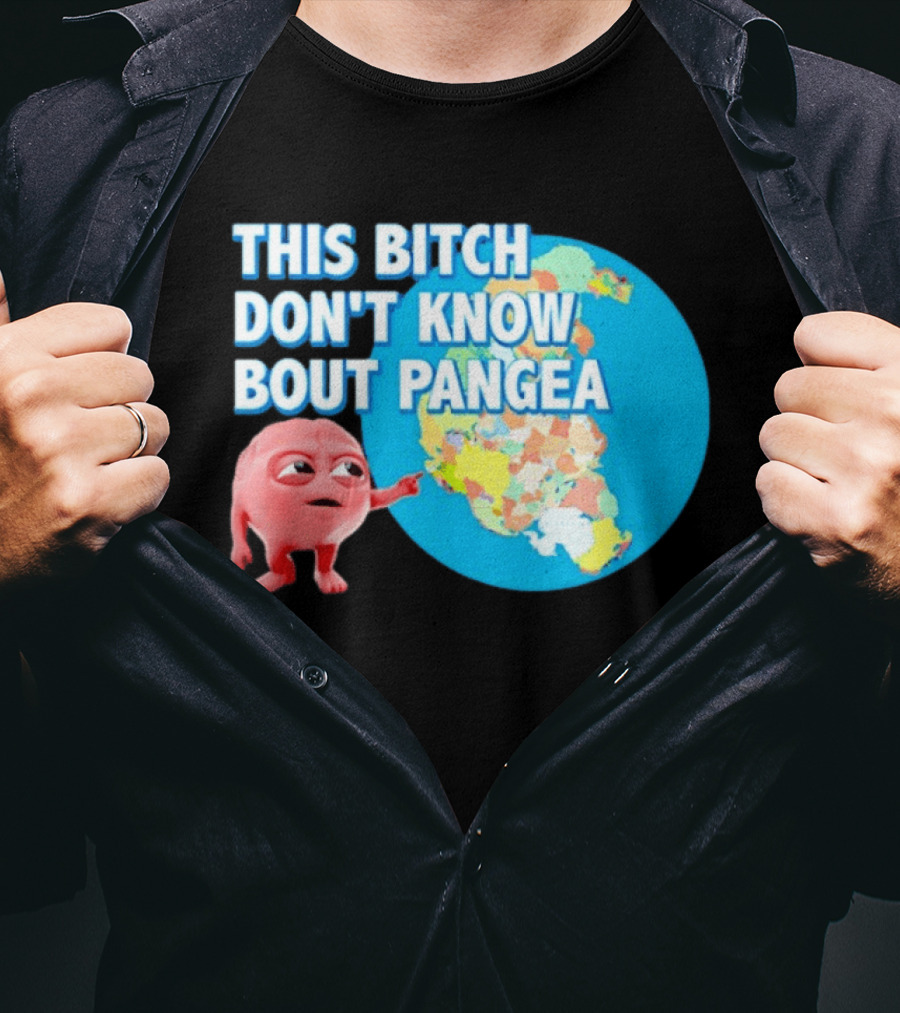 This Bitch Don't Know Bout Pangea Brain Meme Map T-Shirt