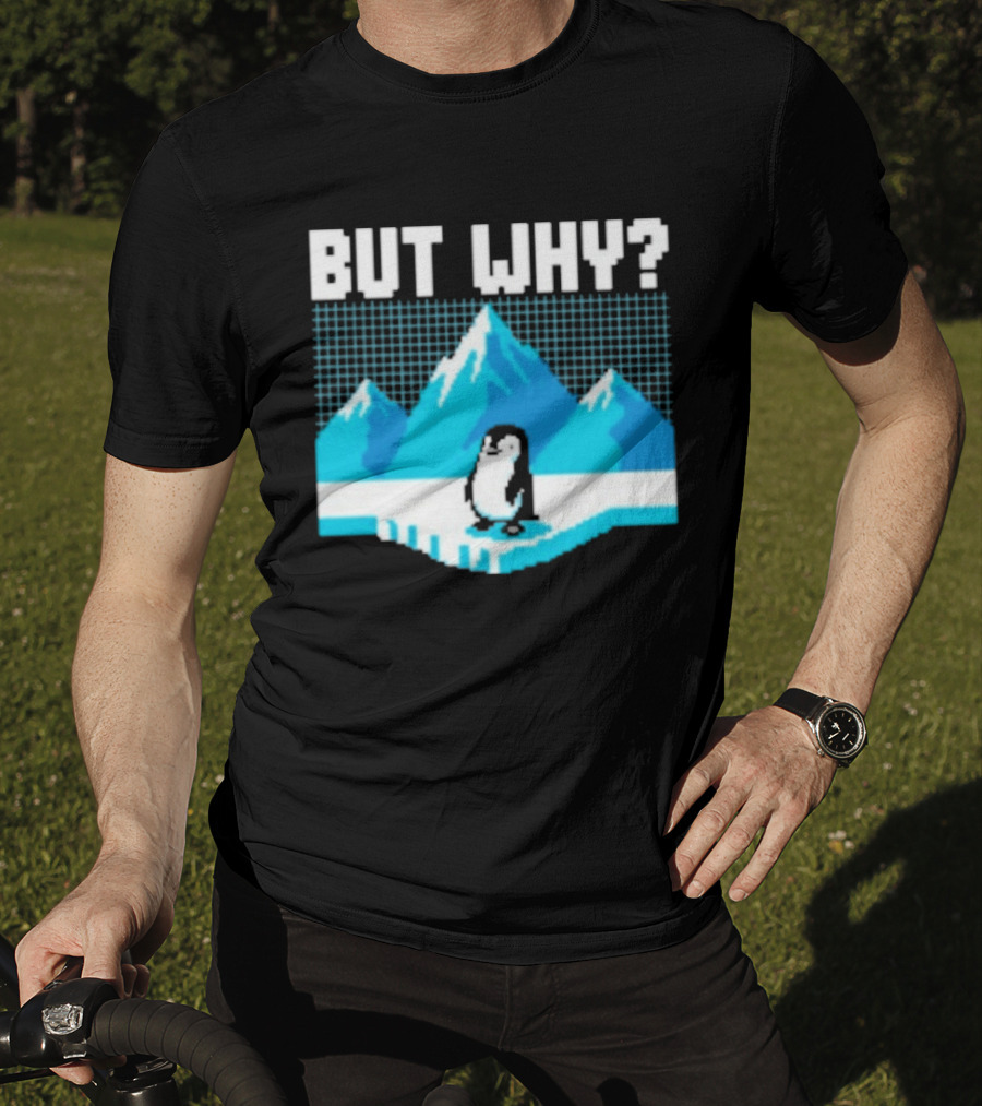 But Why Penguin Arctic Mountains Iceberg T-Shirt