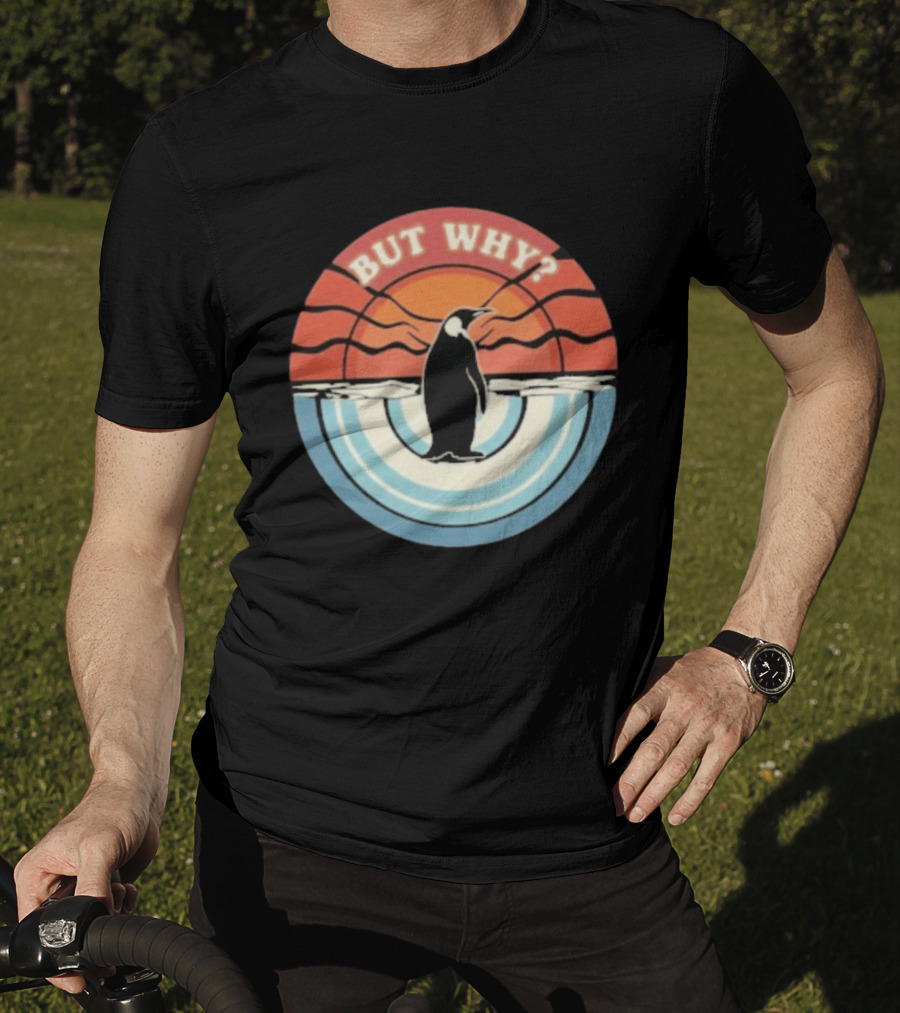 But Why Penguin Vintage Sunset Retro Ocean Waves T-Shirt