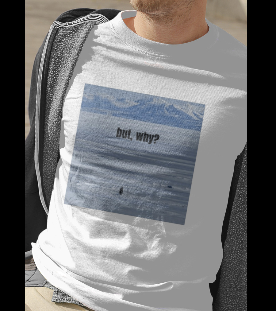 But Why Penguin On Ice With Mountain T-Shirt