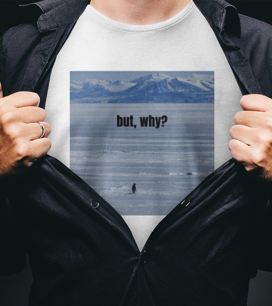 But Why Penguin On Ice With Mountain T-Shirt