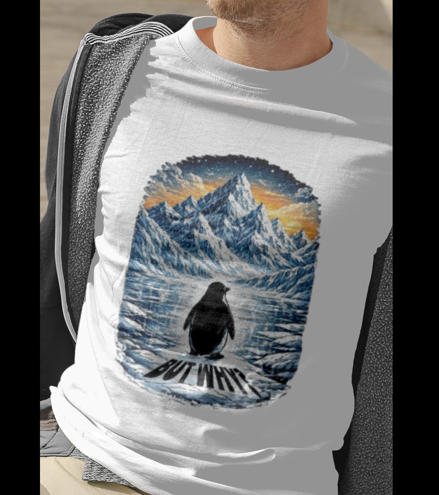 Viral Nihilist Penguin But Why Mountain Reflection T-Shirt