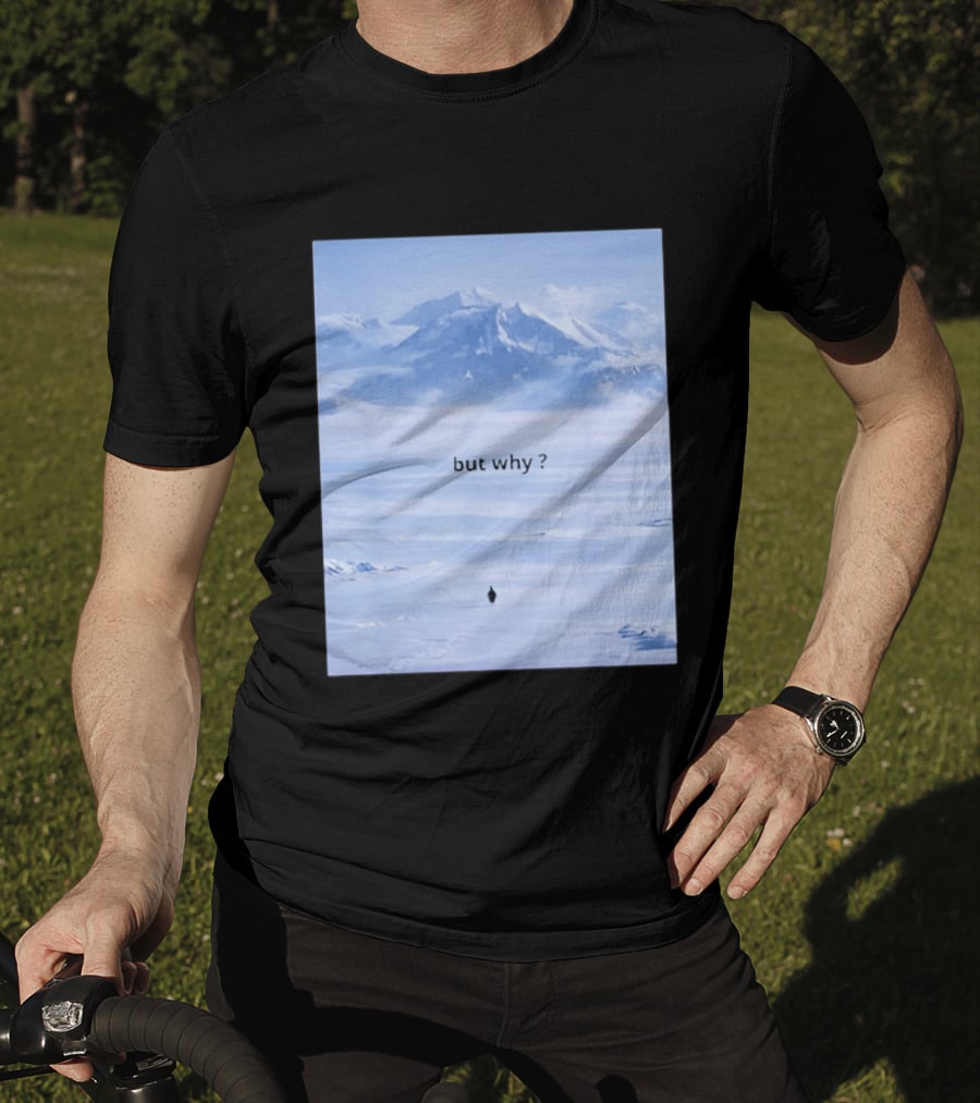 Penguin But Why Meme Snowy Mountains Motivational Scene T-Shirt