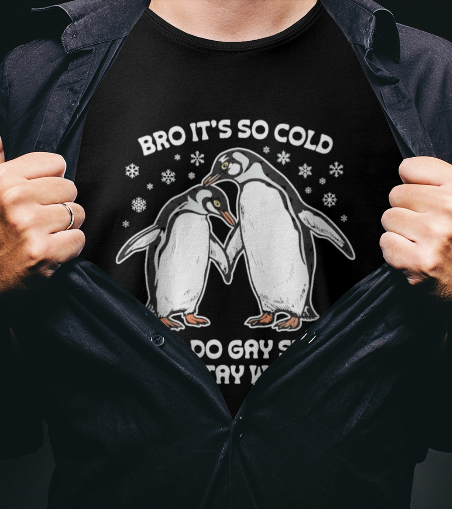 Bro It's So Cold Let's Do Gay Stuff To Stay Warm Penguins Snowflakes T-Shirt