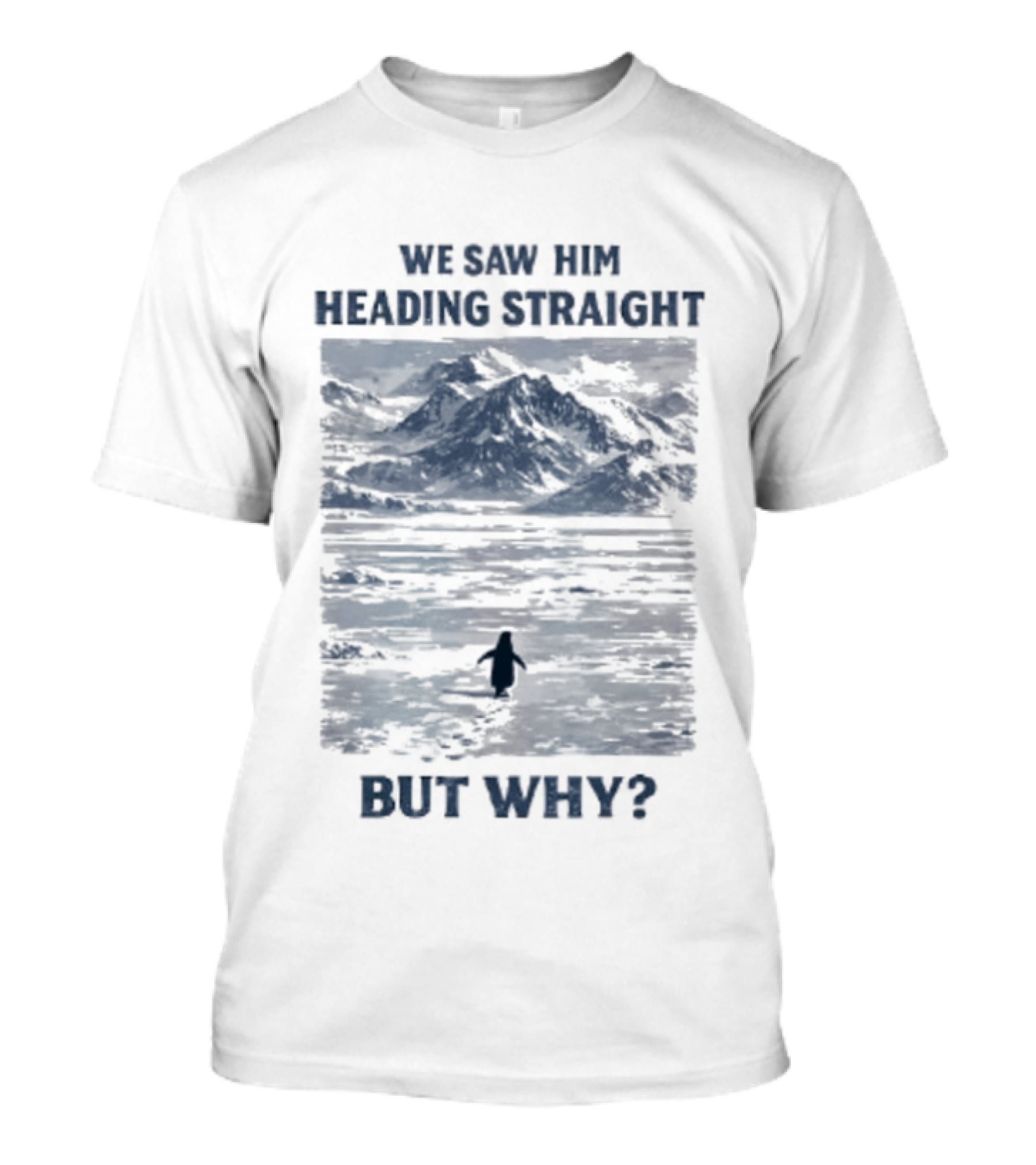 We Saw Him Heading Straight But Why Penguin Mountain Meme T-Shirt