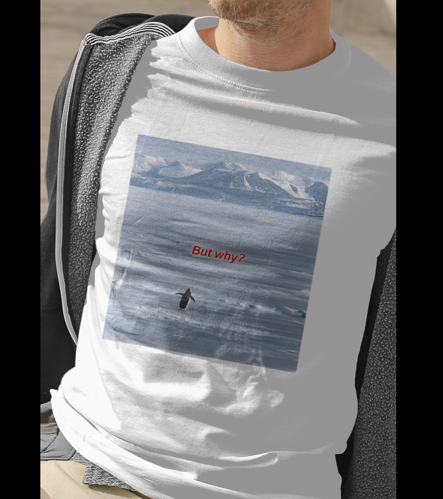 But Why Penguin Nihilist Scenic Antarctic Mountains T-Shirt
