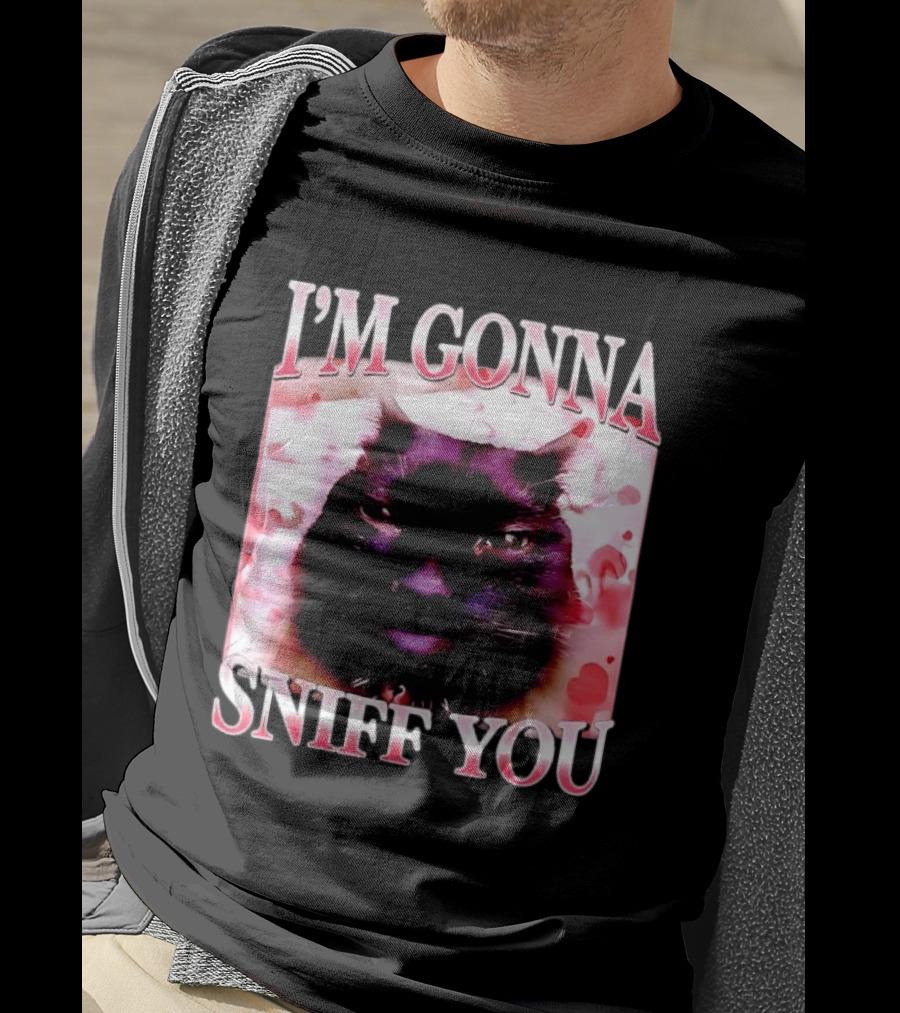I'm Gonna Sniff You Cat Meme Valentine Aesthetic T-Shirt