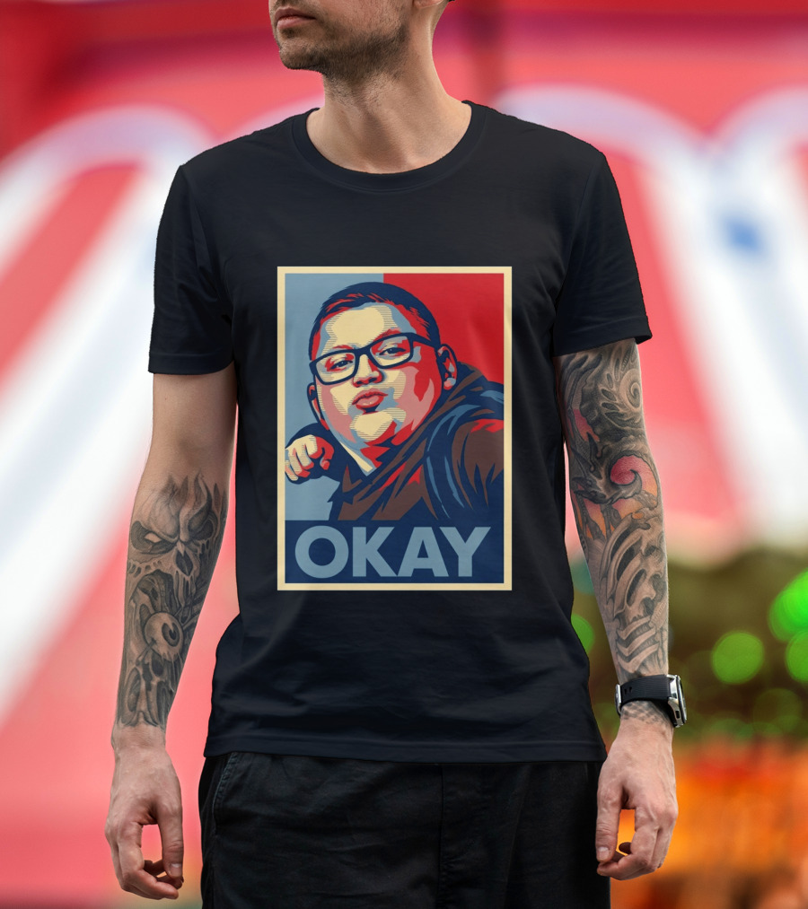 Okay Punch Kid Meme T-Shirt