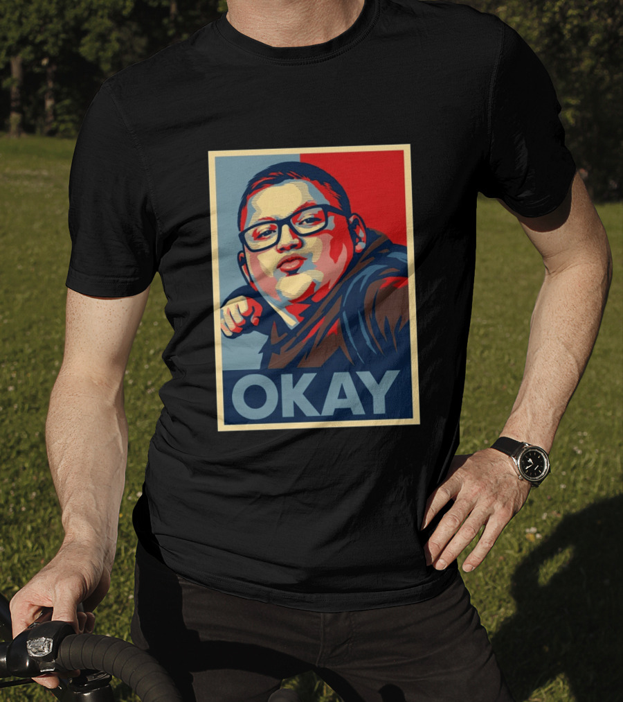 Okay Punch Kid Meme T-Shirt
