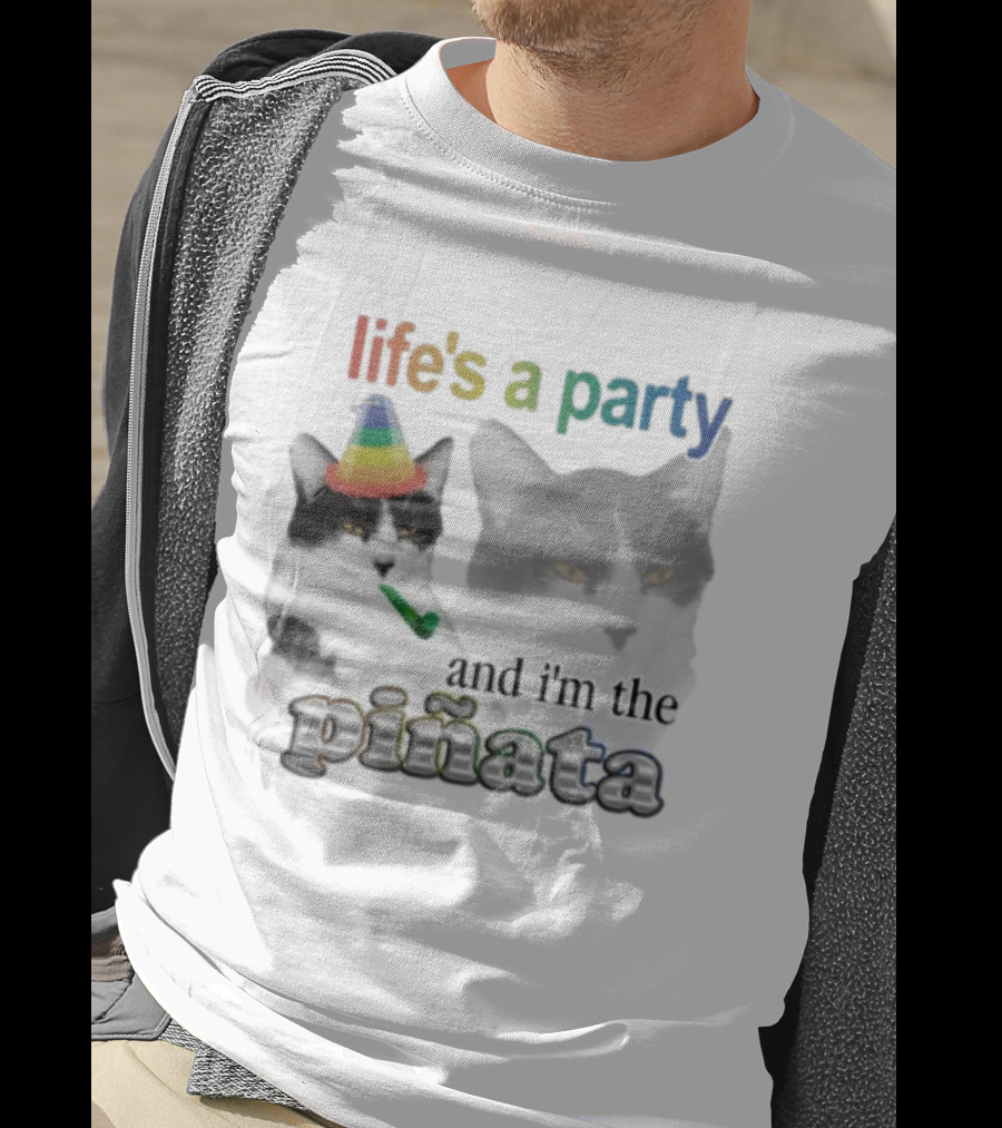 Life's A Party Cat I'm The Piñata Party Hat Humor T-Shirt