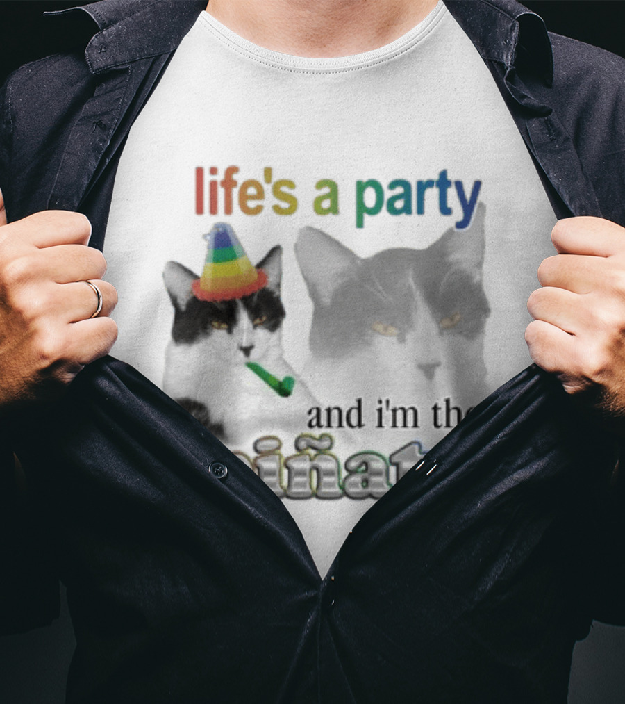 Life's A Party Cat I'm The Piñata Party Hat Humor T-Shirt