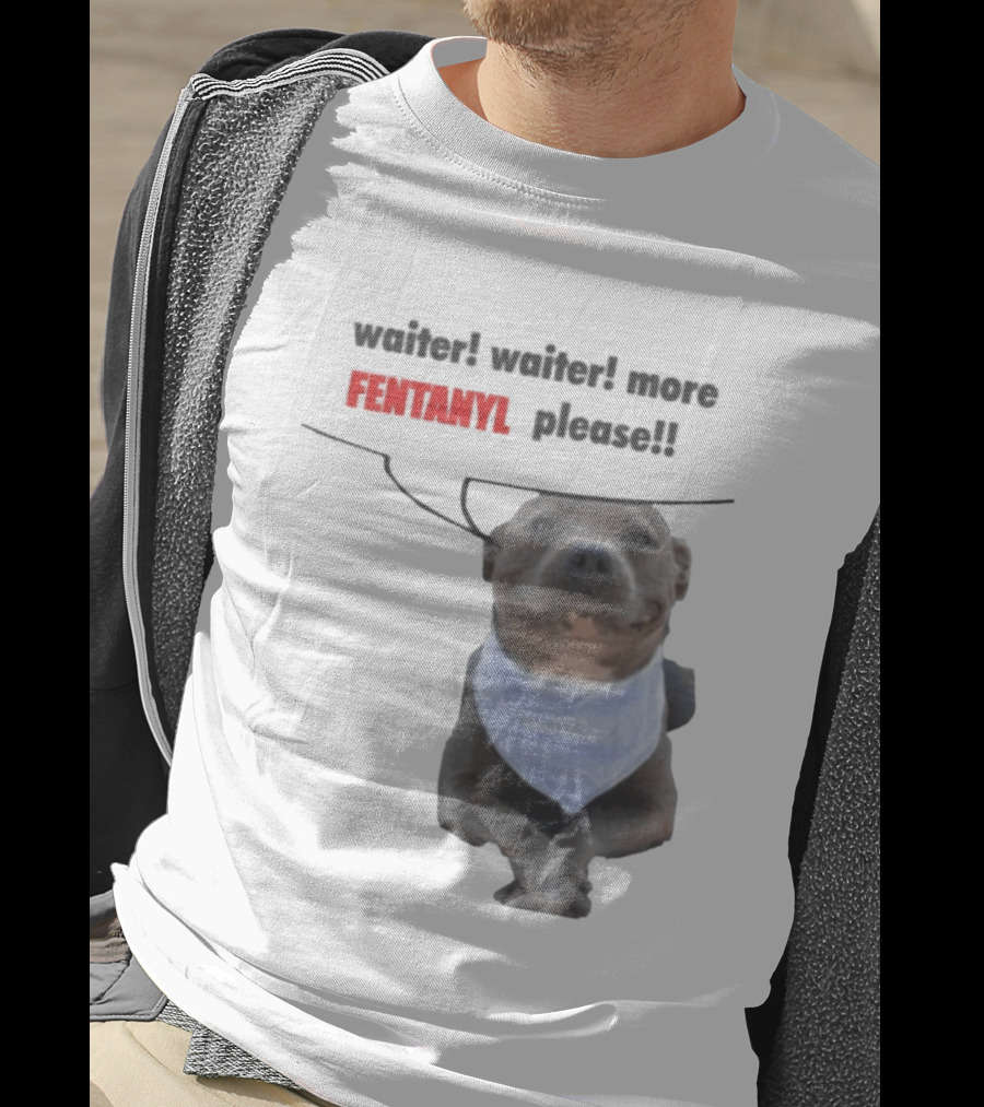 Waiter Waiter More Fentanyl Meme Dog Funny Please T-Shirt