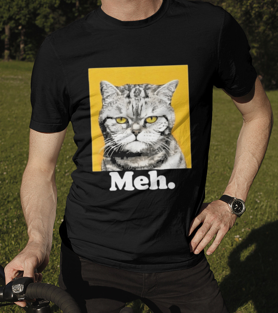 90 Day The Single Life Meh Cat T-Shirt