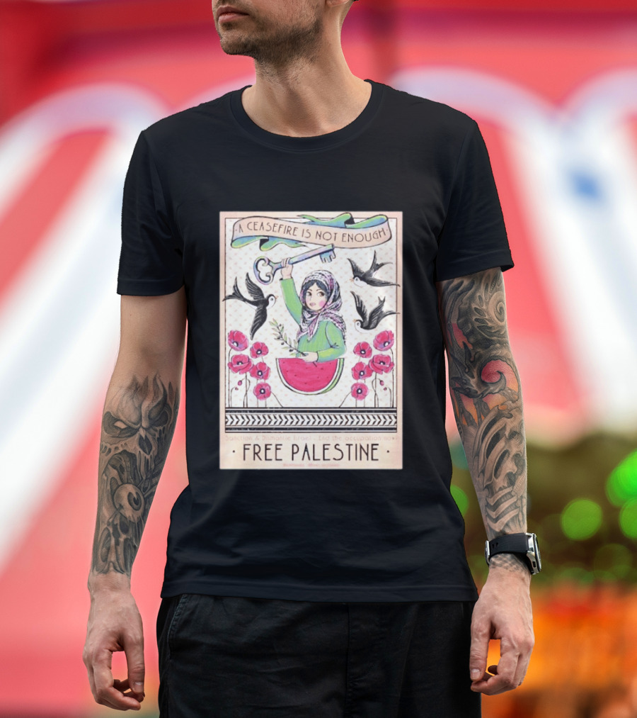 A Ceasefire Is Not Enough Free Palestine Sanction And Dismantle Israel End The Occupation Now T-Shirt