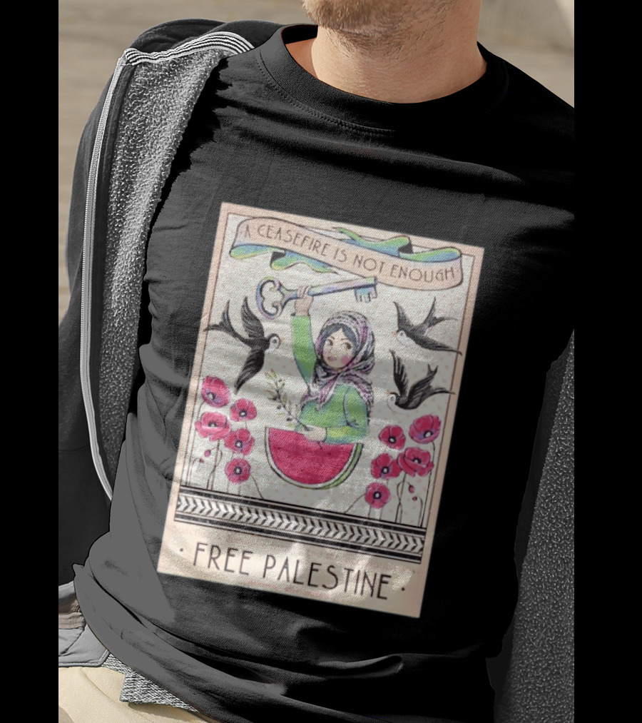 A Ceasefire Is Not Enough Free Palestine Sanction And Dismantle Israel End The Occupation Now T-Shirt