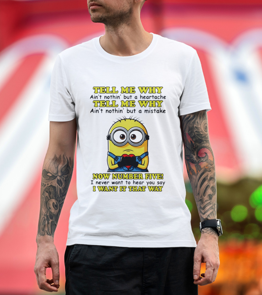 Tell Me Why Ain't Nothin' But a Heartache Mistake Minion I Want It That Way Number Five T-Shirt