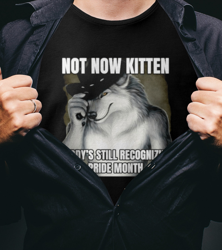 Not Now Kitten Daddy's Still Recognizing Pride Month Wolf T-Shirt
