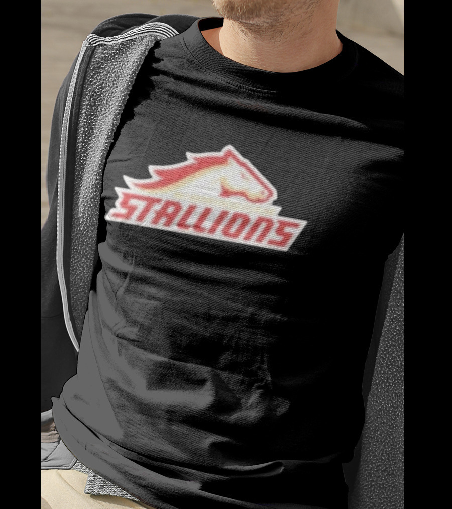 Mintzy Birmingham Stallions Team T-Shirt