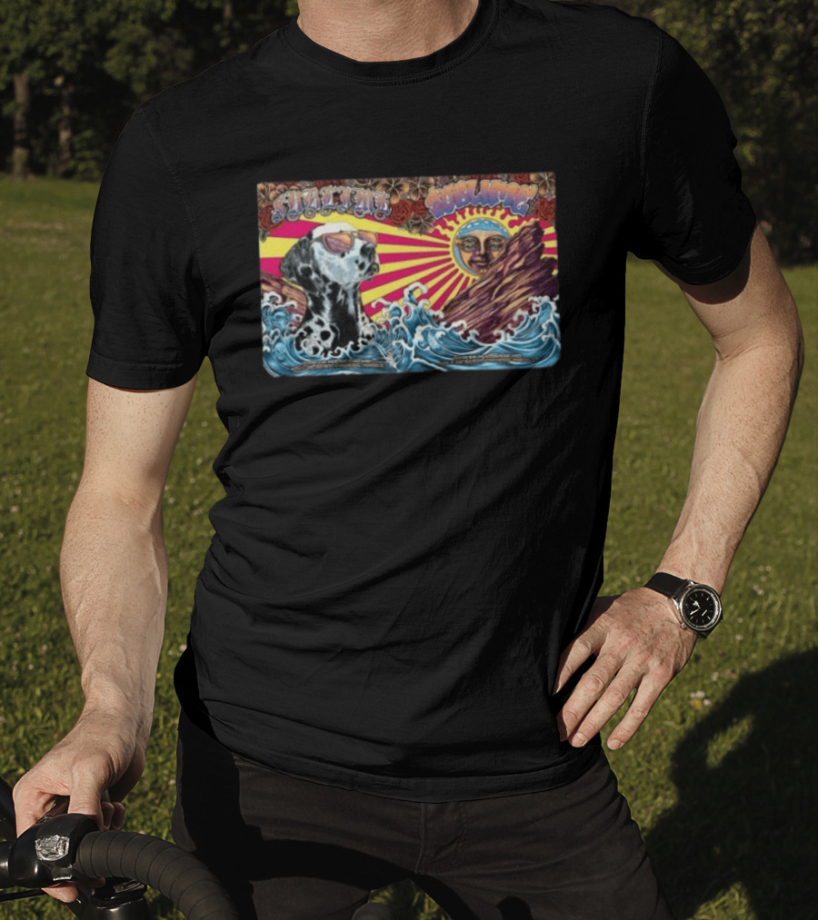 Sublime Red Rocks 2026 Dog Waves Sunburst Psychedelic T-Shirt