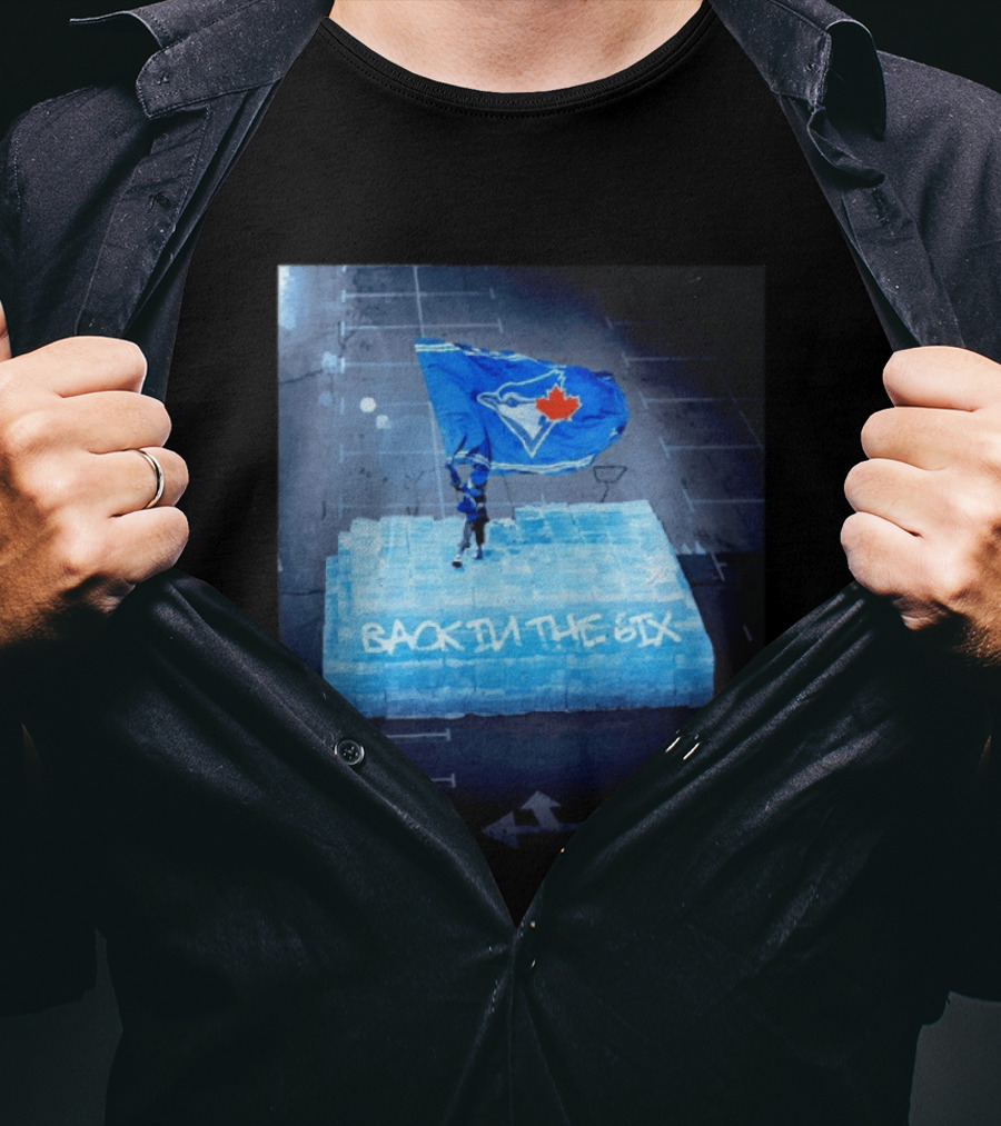 Toronto Blue Jays Back In The 6ix Ice Flag And Blocks T-Shirt