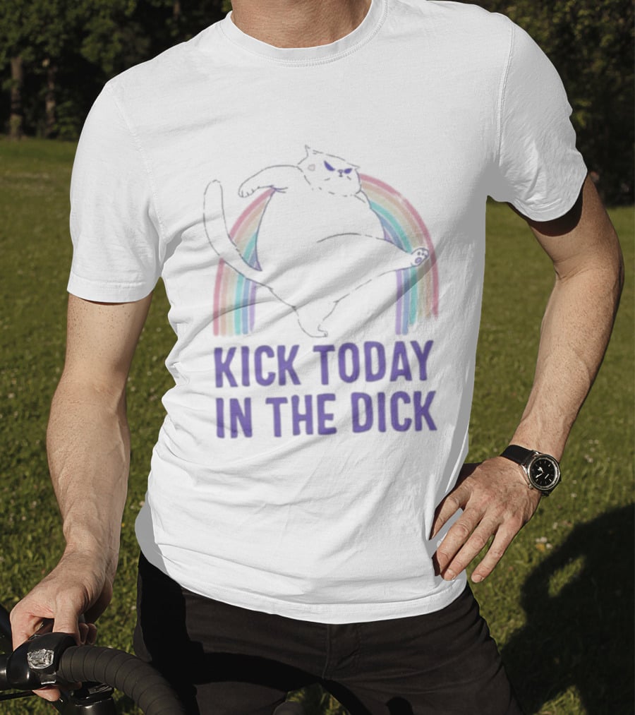 Kick Today In The Dick Rainbow Cat T-Shirt