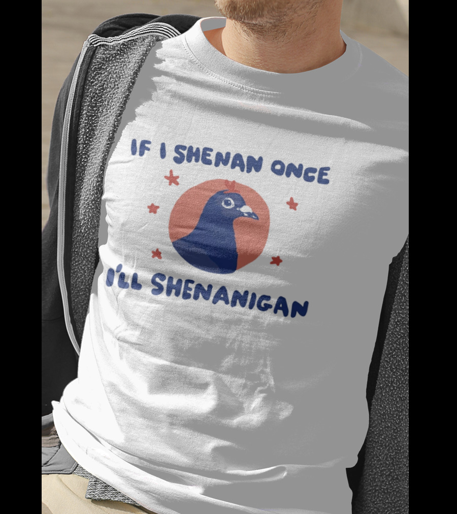If I Shenan Once I'll Shenanigan Funny Pigeon Humor T-Shirt