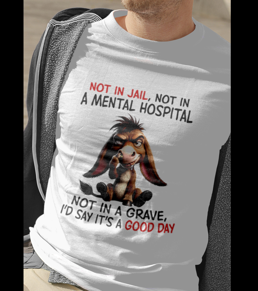 Donkey Not In Jail Not In A Mental Hospital Not In A Grave I'd Say It's A Good Day T-Shirt