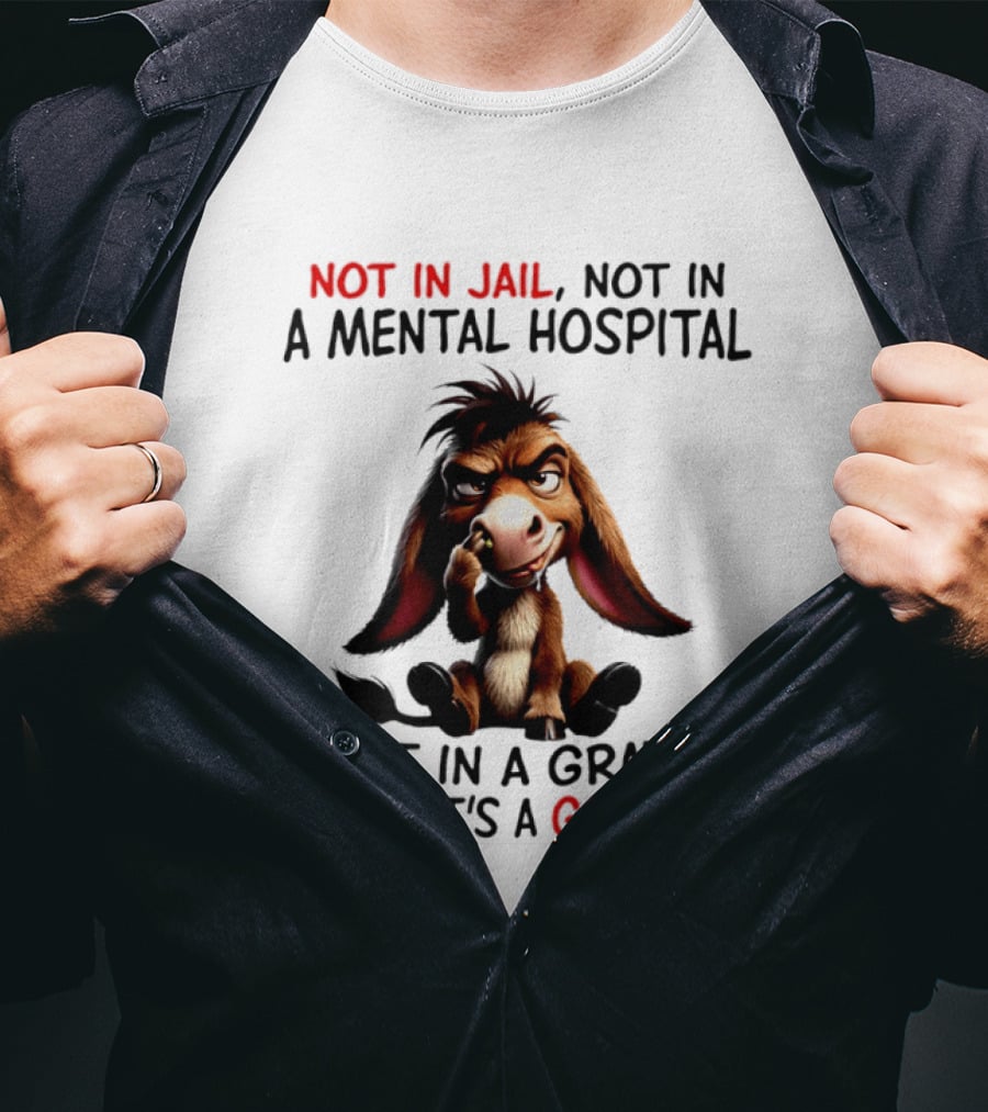 Donkey Not In Jail Not In A Mental Hospital Not In A Grave I'd Say It's A Good Day T-Shirt