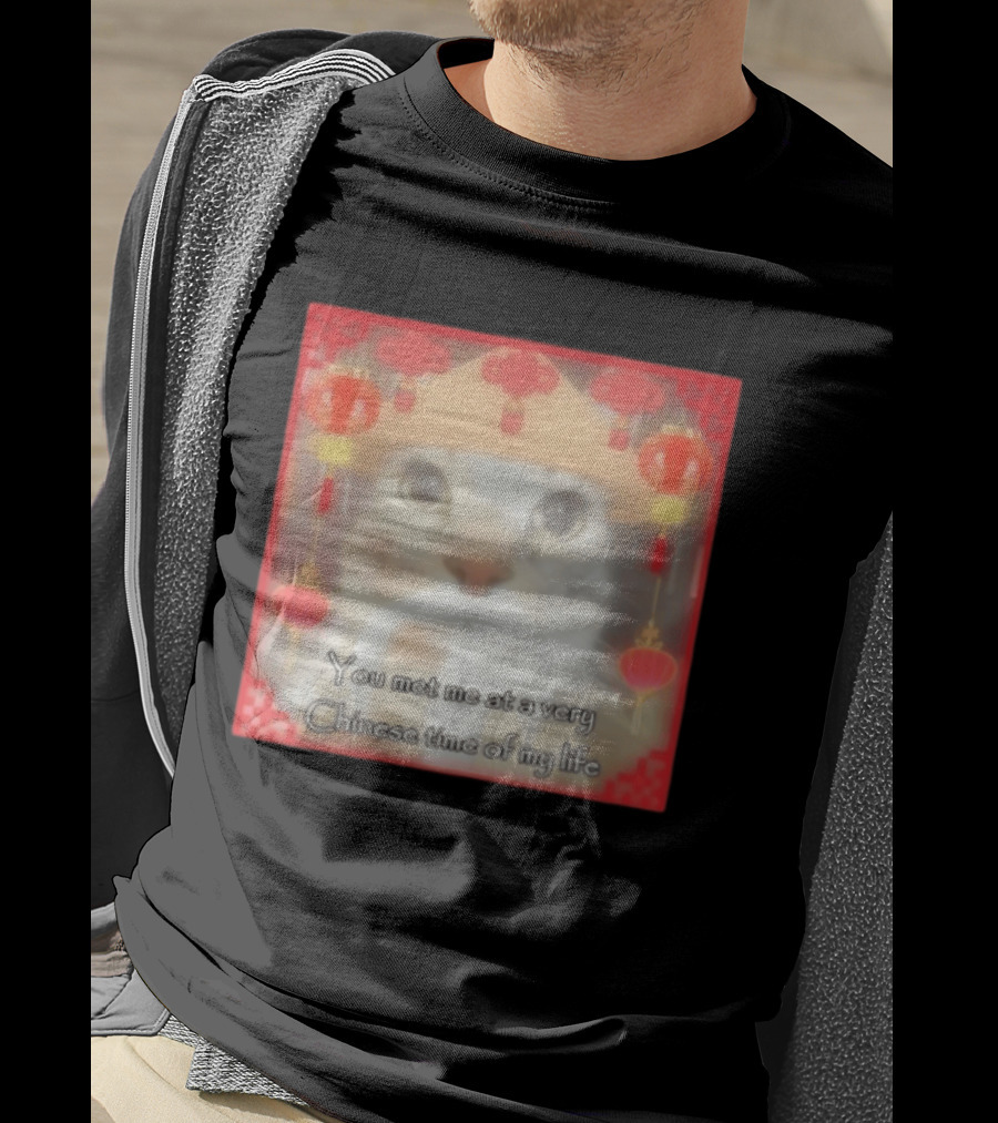 You Met Me At A Very Chinese Time Of My Life Cat Lanterns Hat T-Shirt