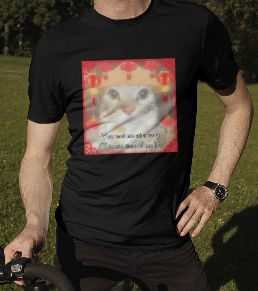 You Met Me At A Very Chinese Time Of My Life Cat Lanterns Hat T-Shirt
